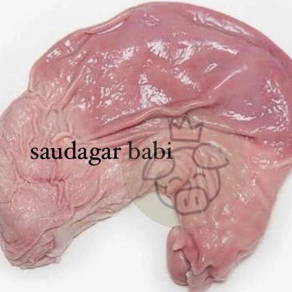 NEW TITO BABI / PERUT BABI / CUTU / LAMBUNG BABI ORI