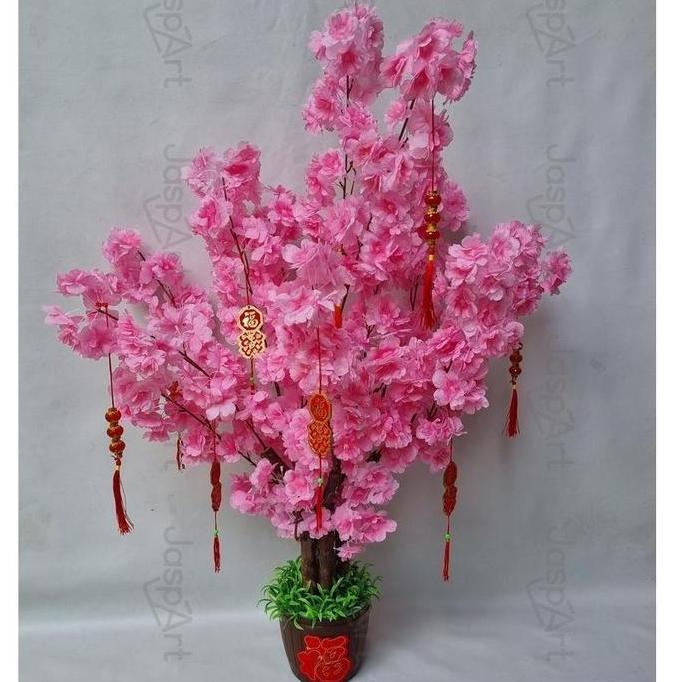 TERLARIS POHON SAKURA JEPANG MEI HUA SIZE BESAR POHON SAKURA MEI HUA PREMIUM 1 METER POHON IMLEK BUN