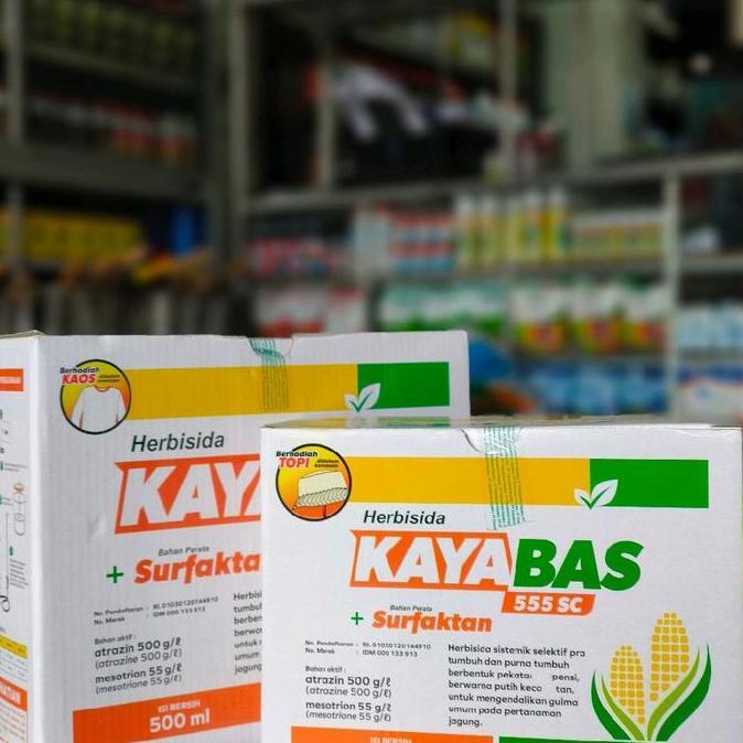 Kayabas 555SC - Herbisida Sistemik Selektif Jagung