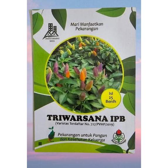 Benih Cabai Hias Triwarsana IPB