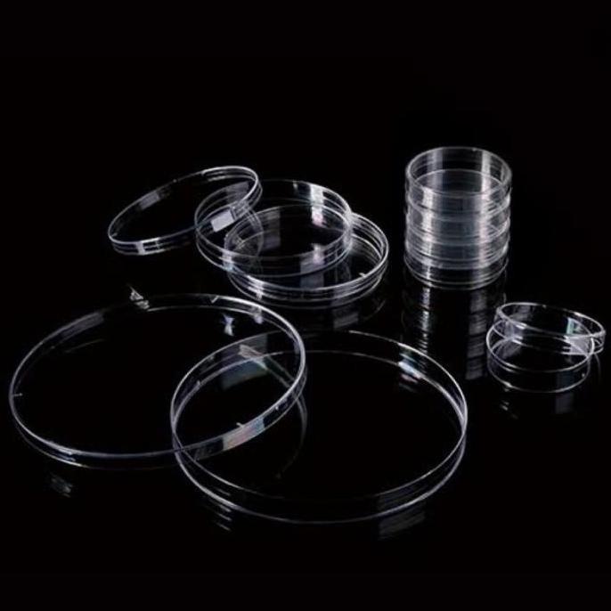Cawan Petri Steril (Sterile Petri Dish), 150 mm, Plastic