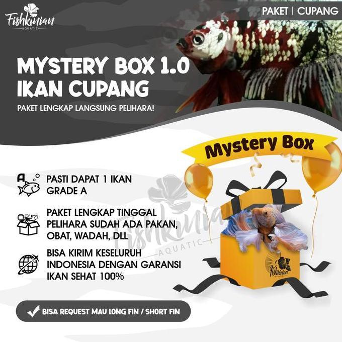 Duniaikanqita- Mystery Box Ikan Cupang Fishkinian + Perlengkapan Lengkap