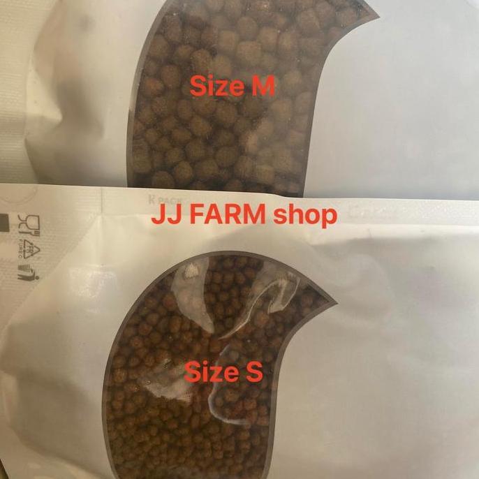 Hobiikan- Pelet Strong Breeder & Jenong B Head Pakan Indukan Louhan Lohan Dll