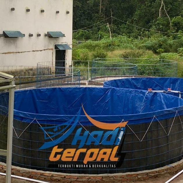 Terpal Saja Diameter 5 Tinggi 1,2 Meter Orchid Kolam Terpal Bulat