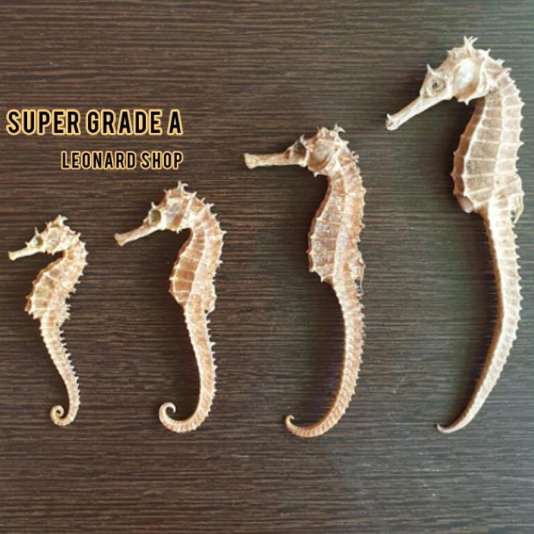 (Terbaru) KL HAI MA KERING SUPER HERBAL OBAT KESUBURAN PRIA WANITA / HAIMA / HAI MHA / GINSENG RENDA