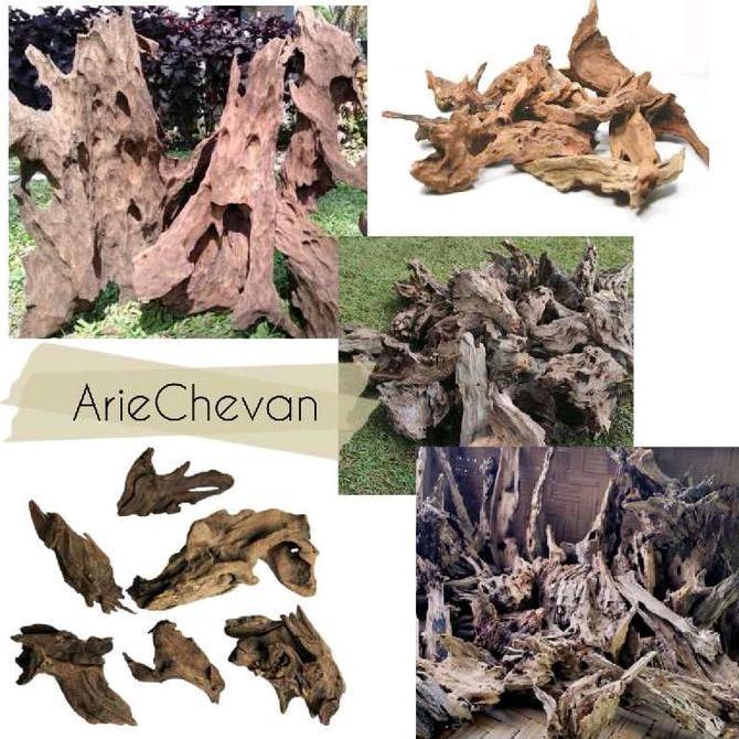 kayu rentek untuk mendekorasi aquarium aquascape