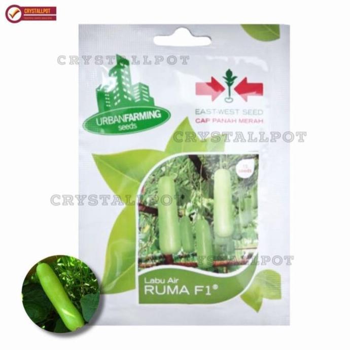 Giardino- Benih Bibit Labu Air Ruma F1 Cap Panah Merah - Labu Air Ruma F1