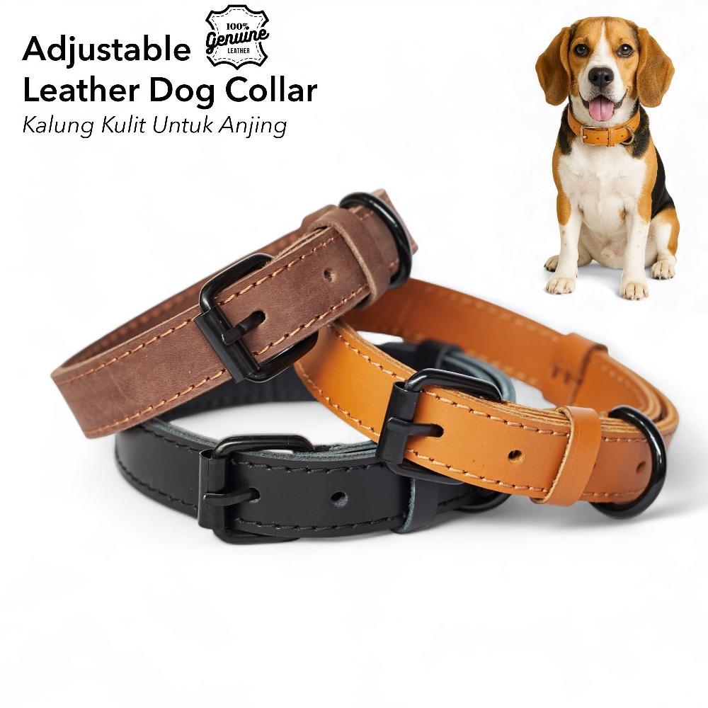 Kalung Anjing Nama - Leather Dog Collar Diskon