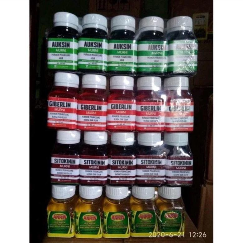 Promo Cod Auksin, Giberelin, Sitokinin, Anrin, Zat Pengatur Buah Dan Tanaman ><