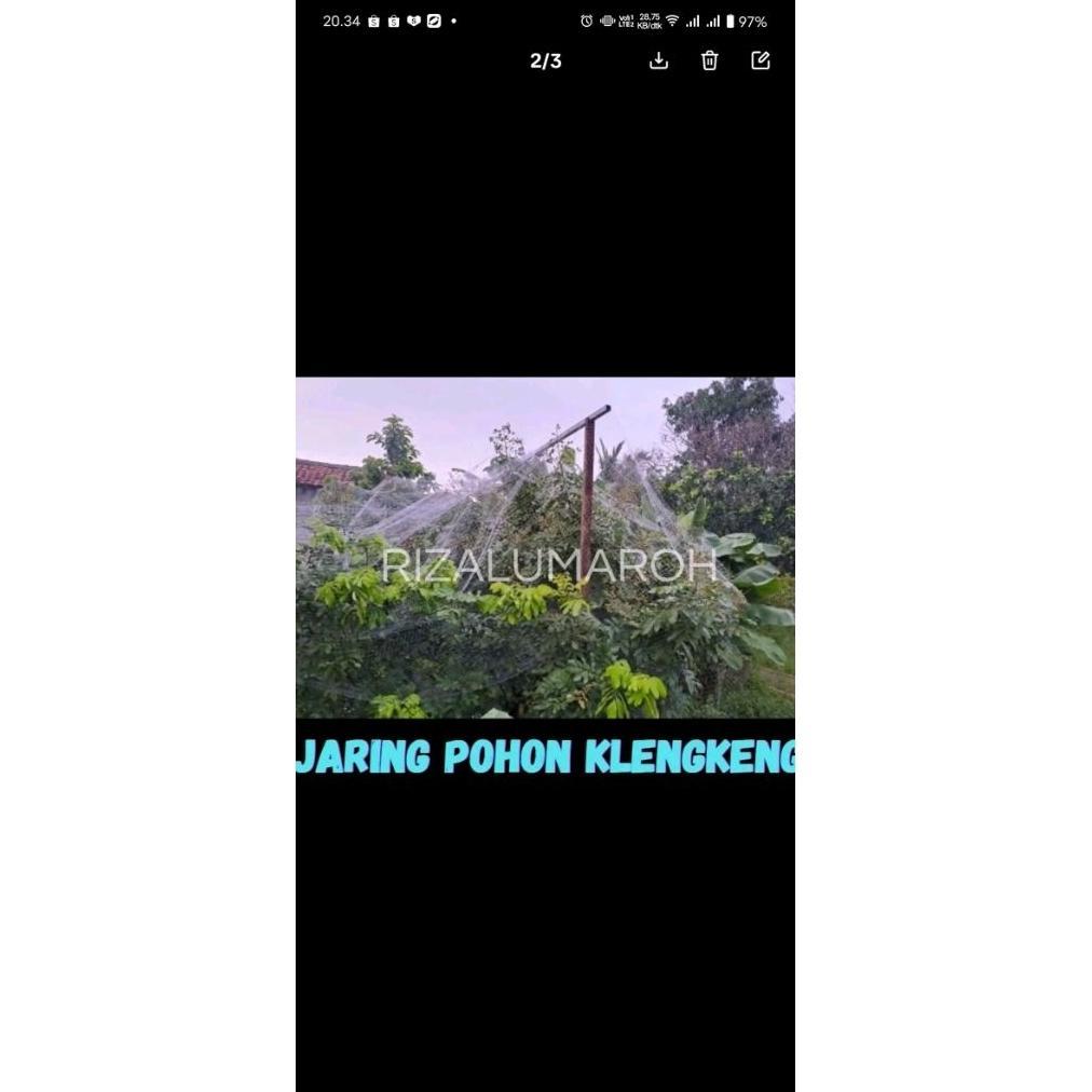 Promo Cod Jaring Pelindung Tanaman Dari Hawa Kelelawar Dari Burung Pelindung Buah Tanaman Klengkeng 