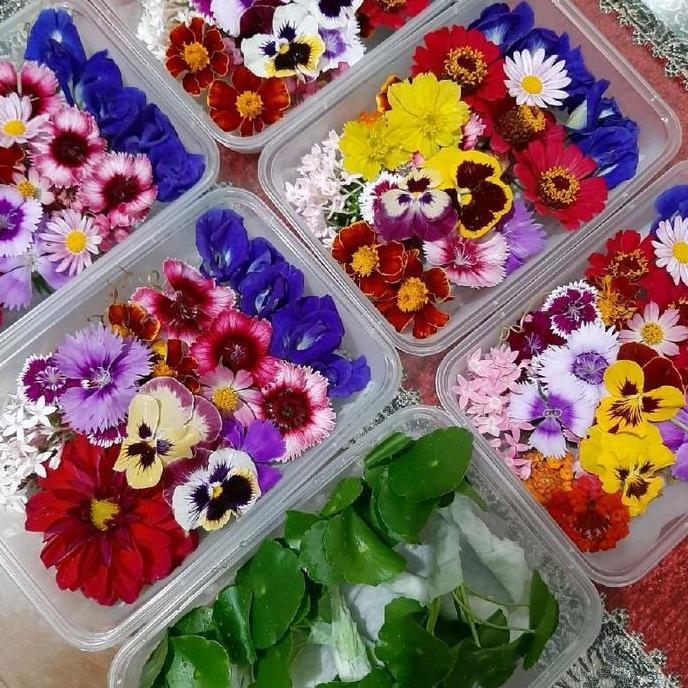 NEW EDIBLE FLOWERS / EFIBLE FLOWER / MIXED EDIBLE FLOWER ORI