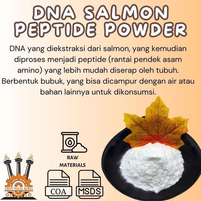 Salmon Dna Extract Collagen Peptides 250 Gr / Dna Salmon Peptide Powder / Dna Ikan Salmon Kolagen 25