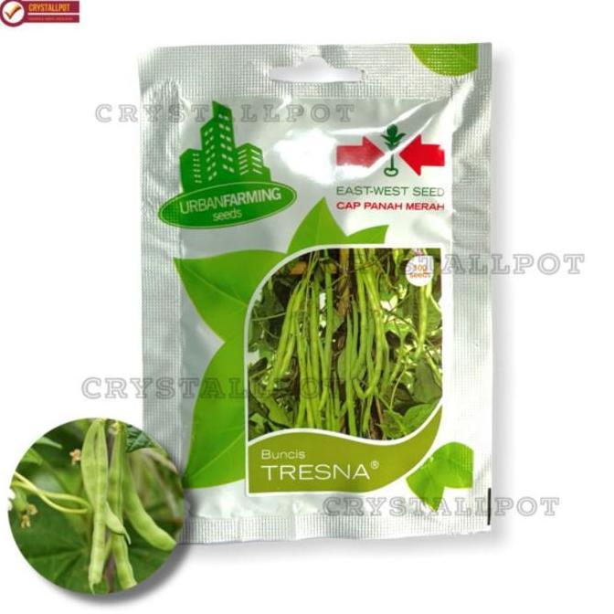 Huayuan- Benih Bibit Buncis Tresna Cap Panah Merah - Buncis Tresna East West Seed