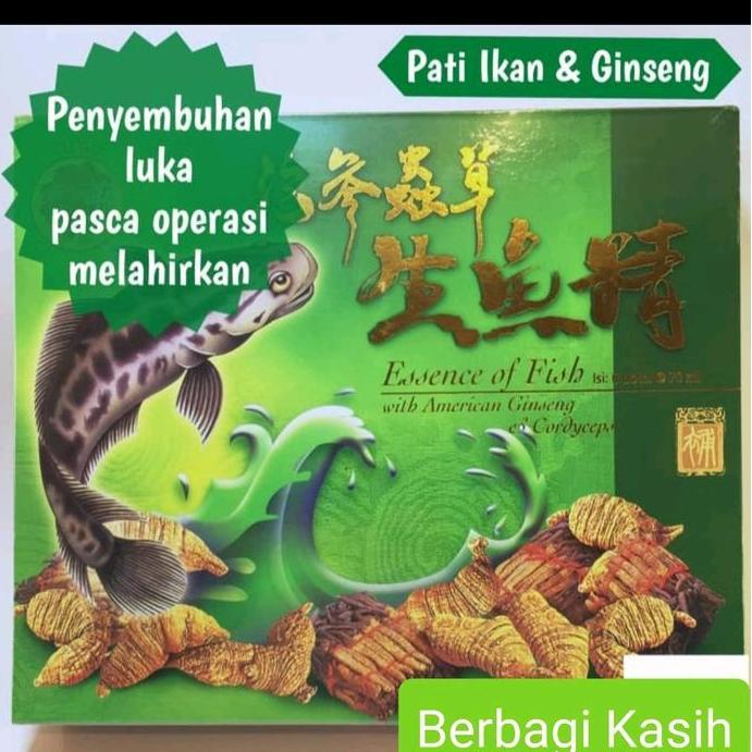 ahissalamahtiga - sari pati ikan haruan / gabus fu gui of fish
