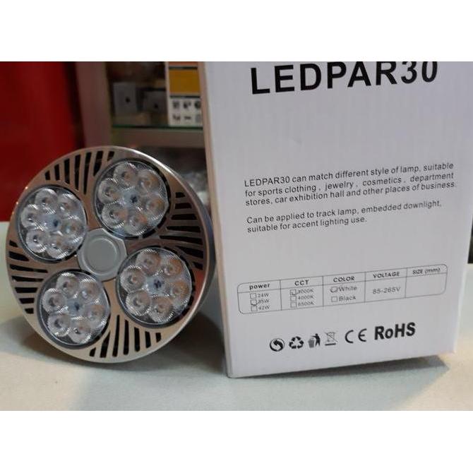Yamasaki LED PAR30 35 Watt