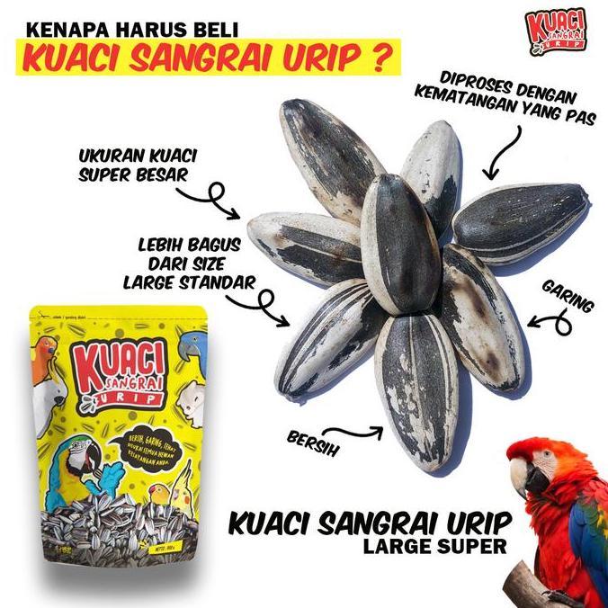 Dongmul- Kuaci Sangrai Super Jumbo Untuk Burung Kakatua Macaw Afgrey Amazon
