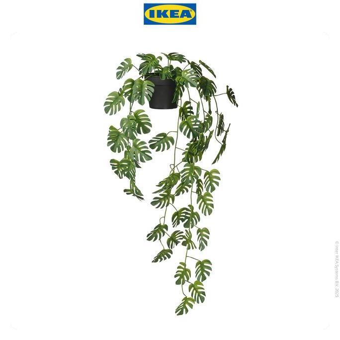 Ikea Fejka Tanaman Hias Palsu Gantung Dalam Pot Monstera 9Cm