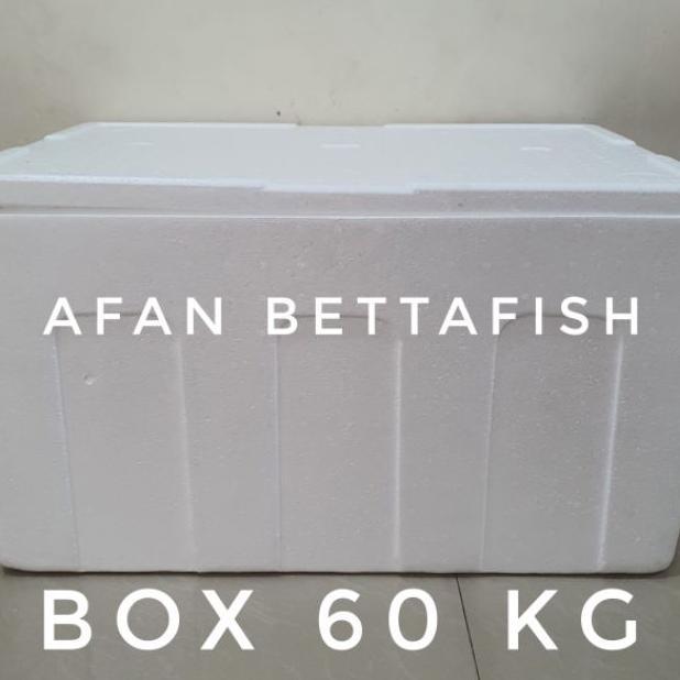 Styrofoam Box 60Kg 70 X 49 X 40 Cm Box Sterefoam 60 Kg