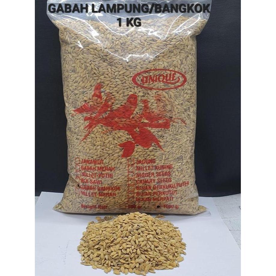 GABAH BANGKOK 1kg  GABAH MINI untuk Ayam, perkutut, derkuku, lovebird & unggas lainnya