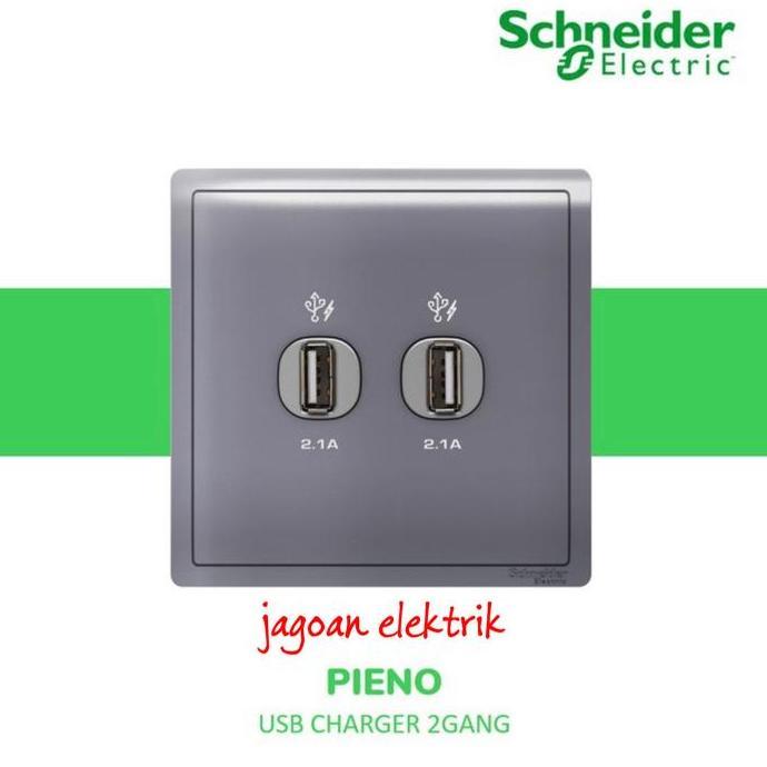 2 Gang USB Pieno Lavender Silver Schneider E8232USB_LS