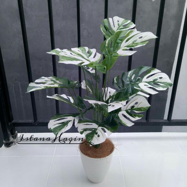 Monstera Artificial Monstera Hijau Monstera Varigata Plus Pot