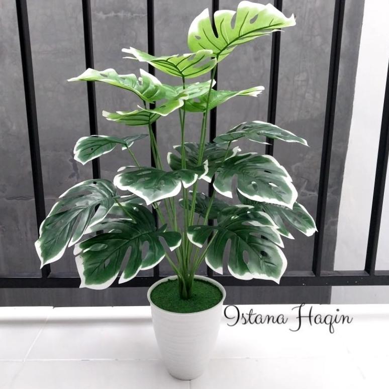 Monstera Artificial Monstera Hijau Monstera Varigata Plus Pot