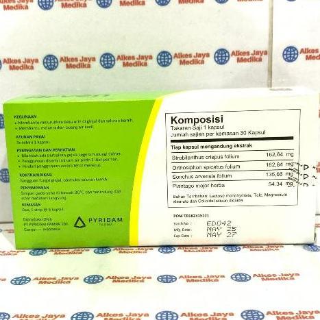 Selera Jualan - Arven Box Isi 30 Kapsul Obat Peluruh Batu Urin