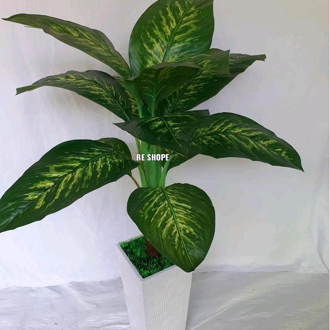 Pohon Daun Tumpah Beras/Sri Rejeki/Talas Bunga Hias Plastik Dekorasi Artificial TERLARIS|BEST QUALIT