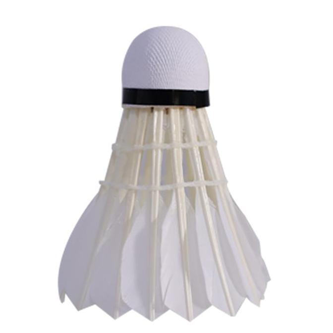 Weminton- Prochamp 400 Pc400 Pc 400 Shuttlecock Bton