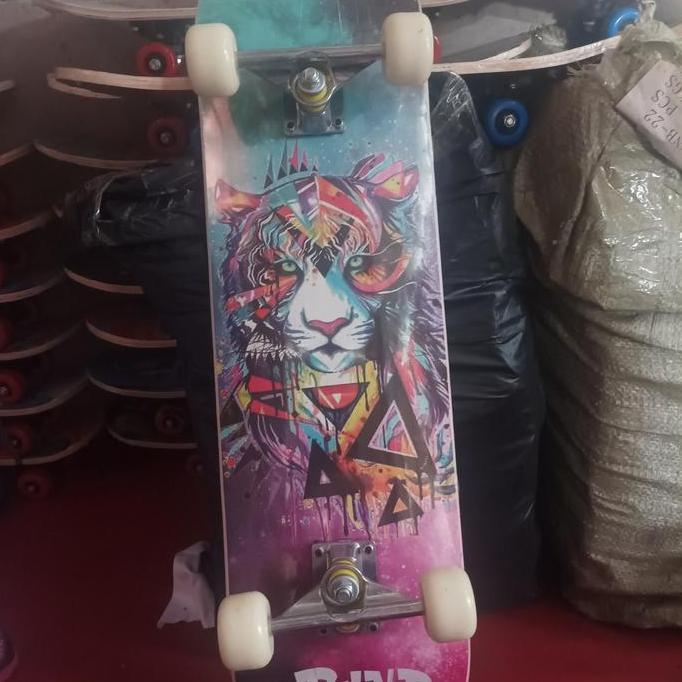 Skateboard size 8 XL Maple Dewasa TM