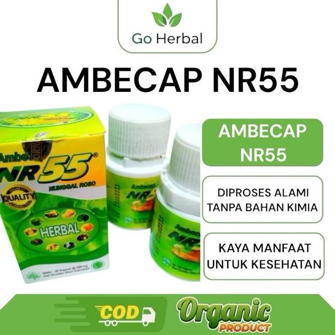 OBAT HERBAL NR55 OBAT HERBAL MULTI FUNGSI NR 55