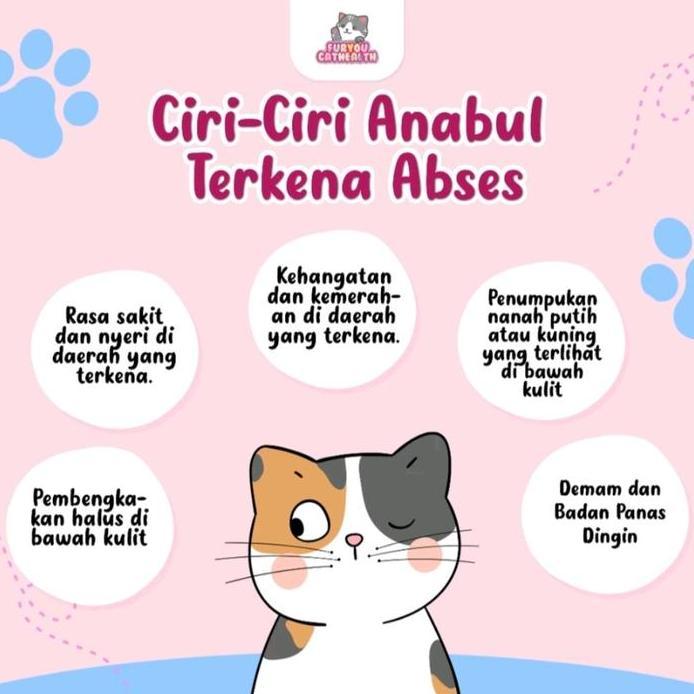 Fur You Obat Luka Tabur Kucing Luka Kucing Luka Terbuka Abses Nanah