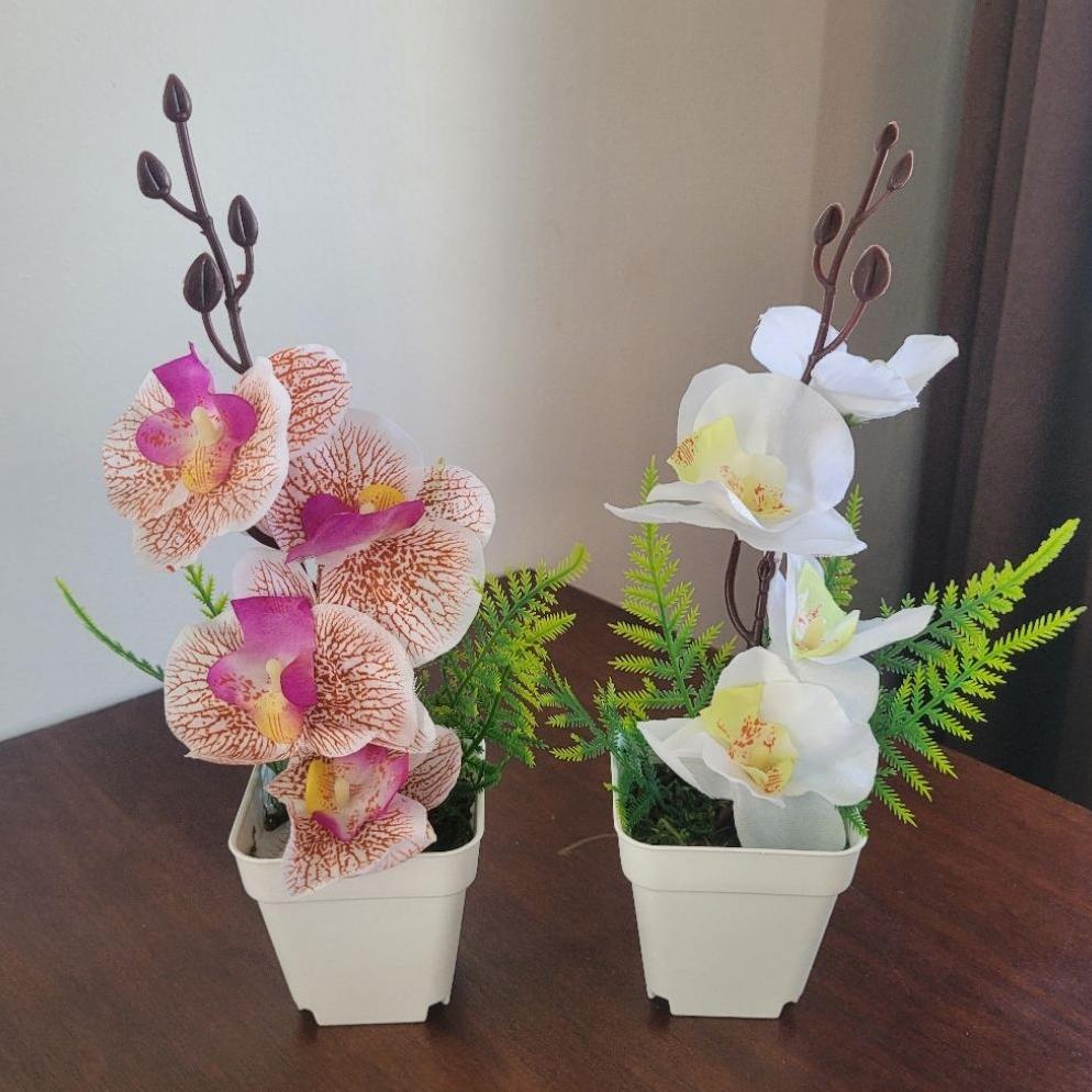 FAVORIT Bunga Plastik ANGGREK BULAN Mini Artificial