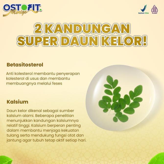Gyunyu- Ostofit Mgo 1-3 Box Susu Herbal Kelor 200Gr Membantu Turunkan Kolesterol & Stabilkan Tekanan
