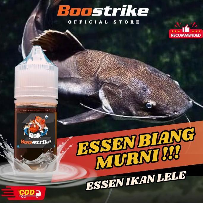 Essen Ikan Lele Aroma Blenok Amis Paling Gacor, Essen Ikan Lele Galatama Indukan Paling Jitu Umpan M