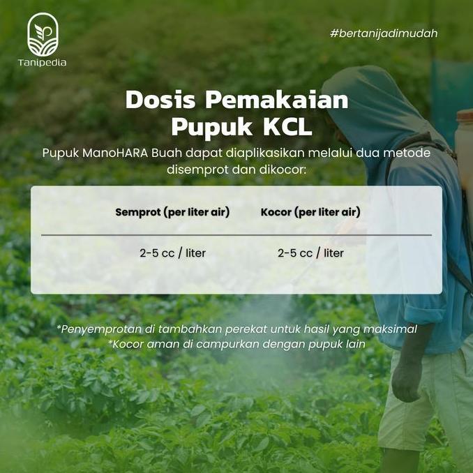 ManoHARA Buah - Pupuk KCL Cair - Untuk Pembesar Pelebat Buah Umbi Padi dan Sayur - 1 Liter (TERBAIK)