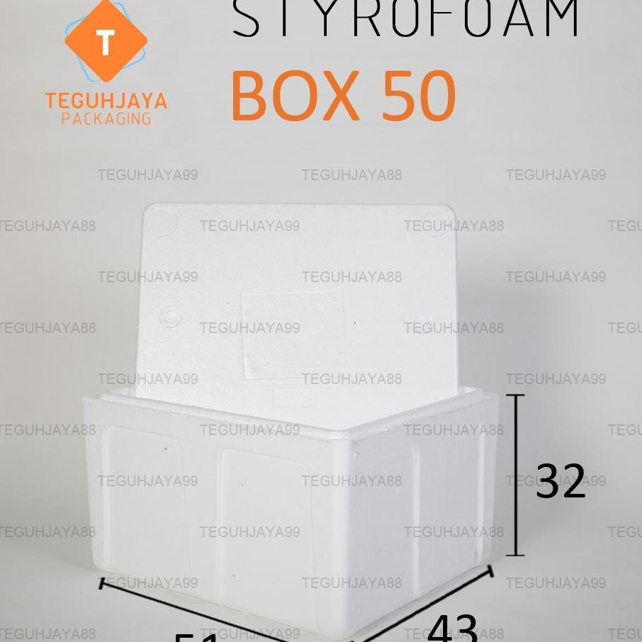 Styrofoam Gabus Box Sterofoam Box Ag 50 Kotak Gabus Frozen Food Ikan Buah 51X43X32 Cool Box