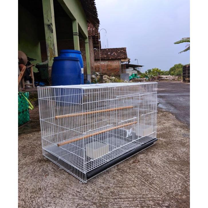 Kandang Kotak Besi Dragon Kandang Ternak Burung Kandang Suger Glider Burung Dll