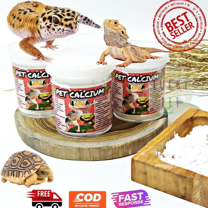 PET CALCIUM kalsium reptile gecko tokek kadal torto pertumbuhan hewan