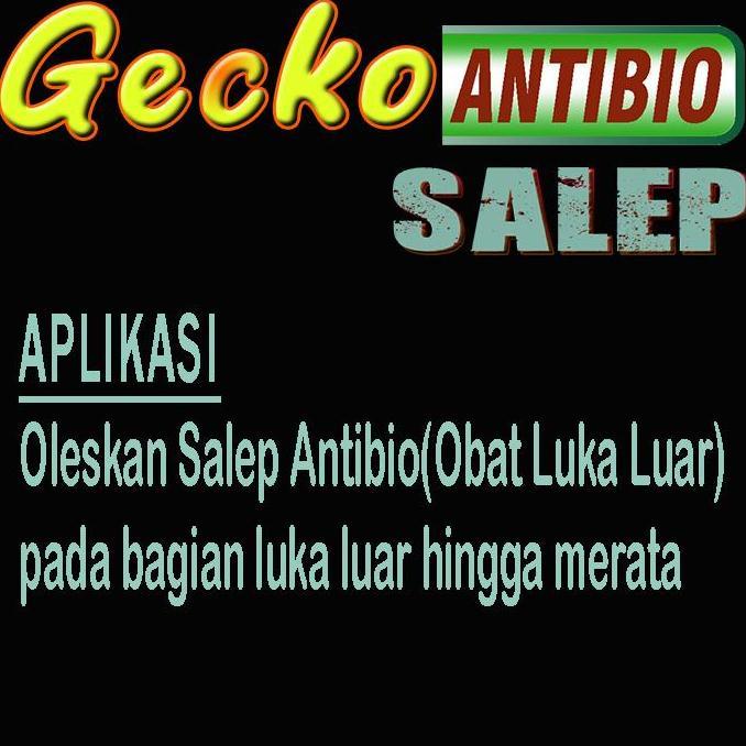 GECKO ANTIBIO SALEP OBAT LEOPARD GEKO TOKEK GEKKO WHELEERI CRESTED AFT TOKEK MENGOBATI PENYAKIT KULI