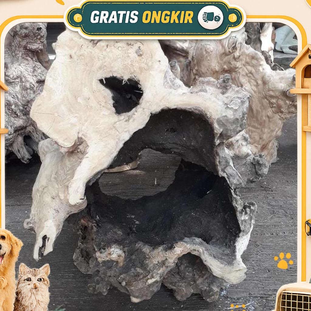 Hiding Cave Bonggol Kayu Kopi Bolong Alami Ukuran Jumbo