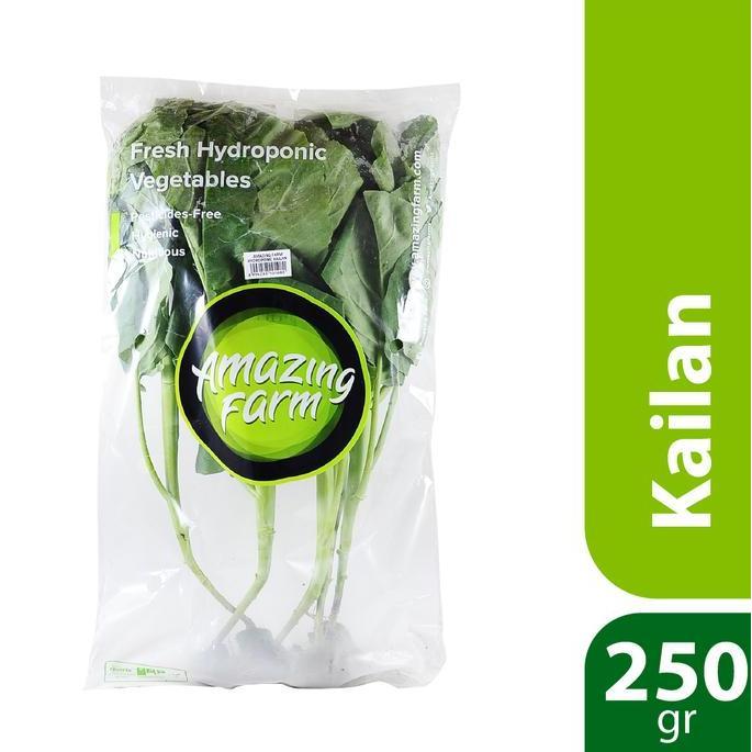 Kailan Sayur Hidroponik 250 gram Amazing Farm