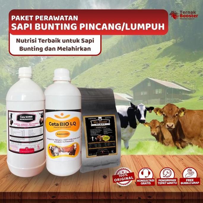 PAKET PERAWATAN SAPI BUNTING PINCANG/LUMPUH - BLACK MH 1KG, CETA BIO LQ, CETAVIT SORBI
