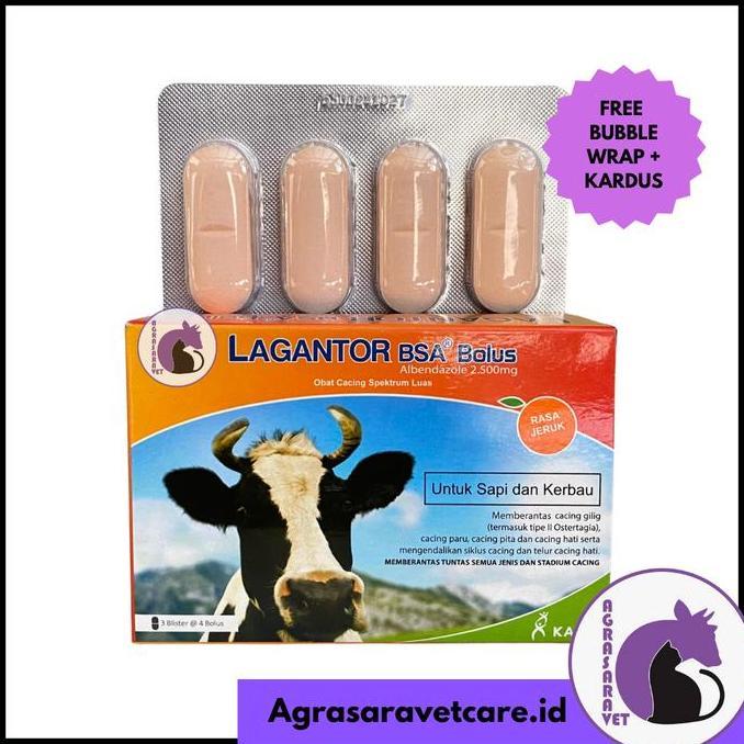 LAGANTOR BSA 1 Dus (isi 12 Bolus) - Obat Cacing Sapi Paling Ampuh Rasa Jeruk