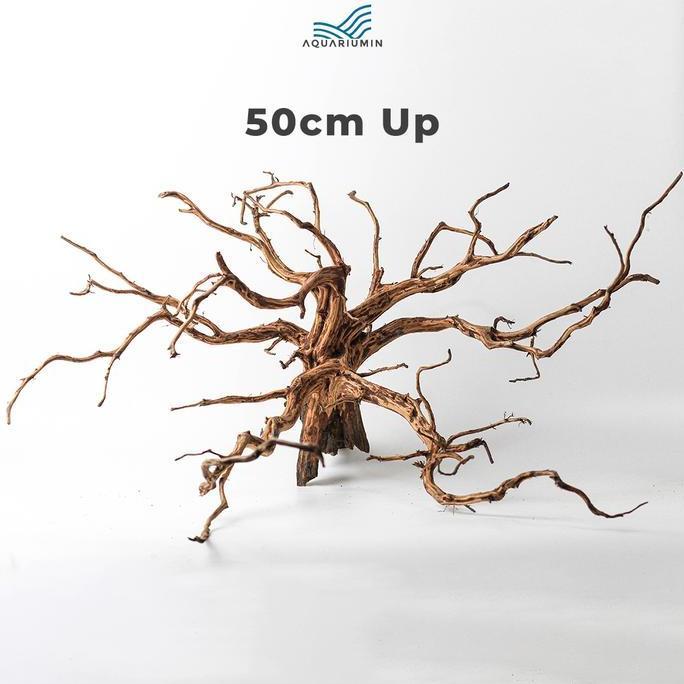 Acquario- Akar Kayu Rasamala Size Xl Aquarium / Aquascape