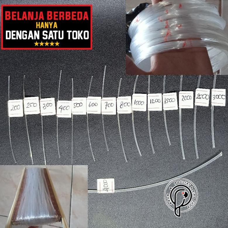 BHAVARASHOP SENAR LAYANGAN GAPANGAN 200 - 3000 CAP IKAN ARWANA / KAKAP ORIGINAL