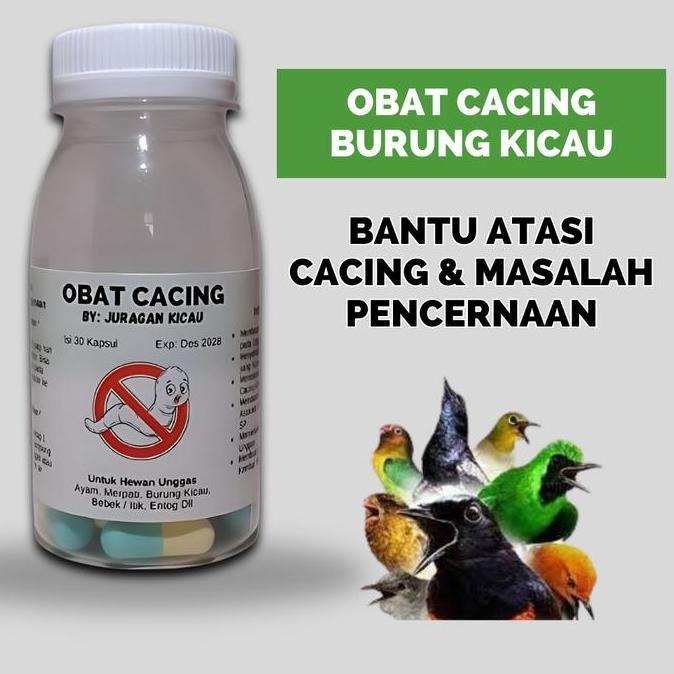 Obat Cacing Burung Kicau Mengobati Burung Cacingan Mencret Untuk Murai Sogon Perkutut Kenari Dll All
