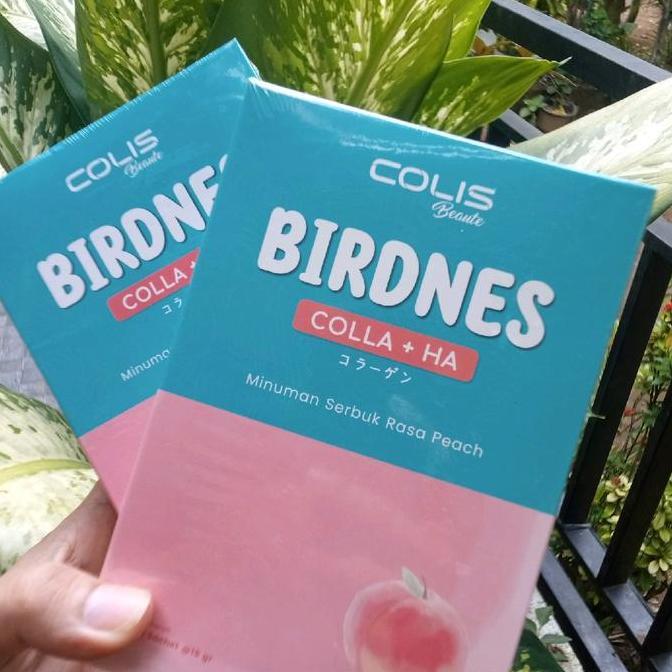 Collagen Colis birdnes by Colis sakura