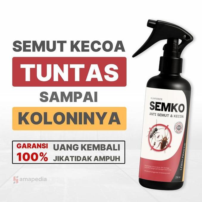 Obat Pembasmi Semut Kecoa Semprot / Racun Semut Kecoa Paling Ampuh