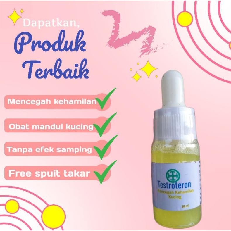 Vitamin kucing KB hewan anti birahi Obat mandul kucing testroteron aman dikomsumsi saat menyusui Dis